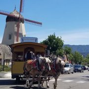 20181 KASEC 가족여행_샌프란시스코